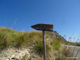 nte Venere-30-07-2020 09